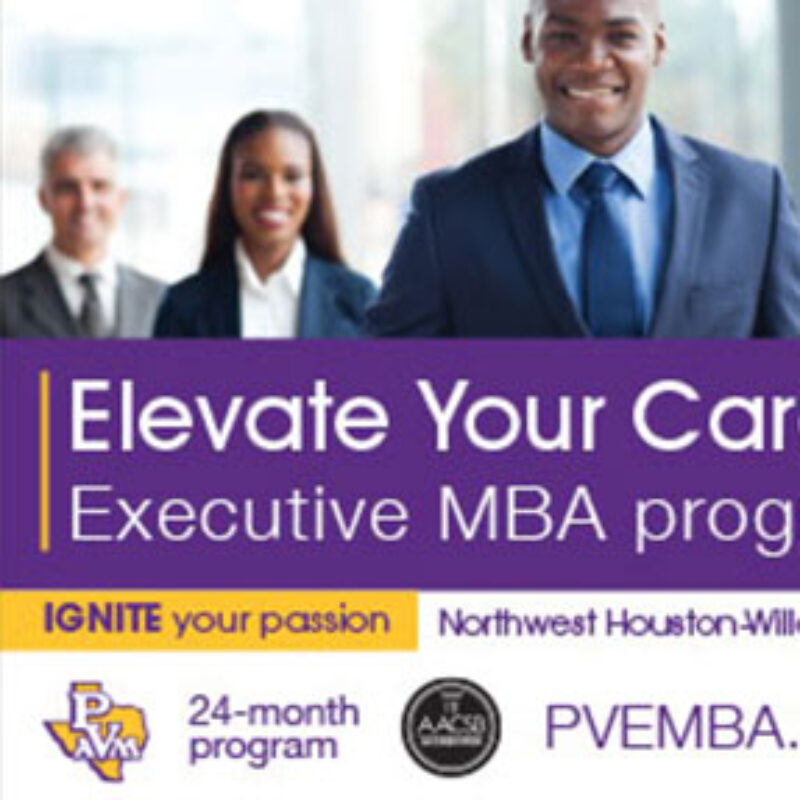 Executive MBA Digital Marketing